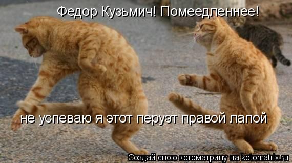 Котоматрица: Федор Кузьмич! Помеедленнее! Федор Кузьмич! Помеедленнее! не успеваю я этот перуэт правой лапой не успеваю я этот перуэт правой лапой