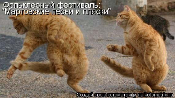 Котоматрица: Фольклерный фестиваль: "Мартовские песни и пляски"