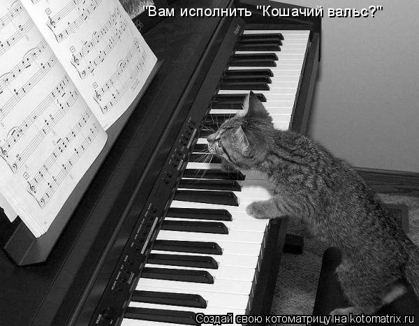 Котоматрица: "Вам исполнить "Кошачий вальс?"