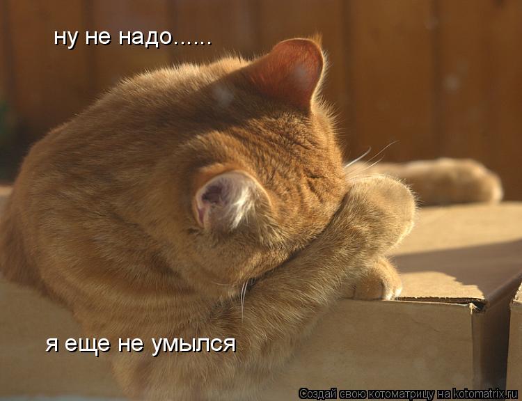 Котоматрица: ну не надо...... я еще не умылся