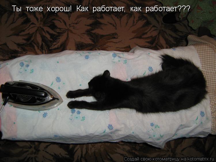 Котоматрица: Ты  тоже  хорош!  Как  работает,  как  работает???