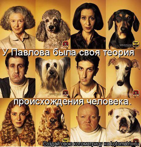 Котоматрица: У Павлова была своя теория происхождения человека.