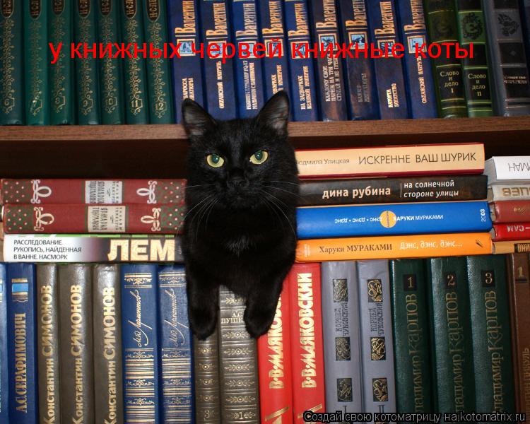 у книжных червей книжные коты... Котоматрица: у книжных червей книжные коты