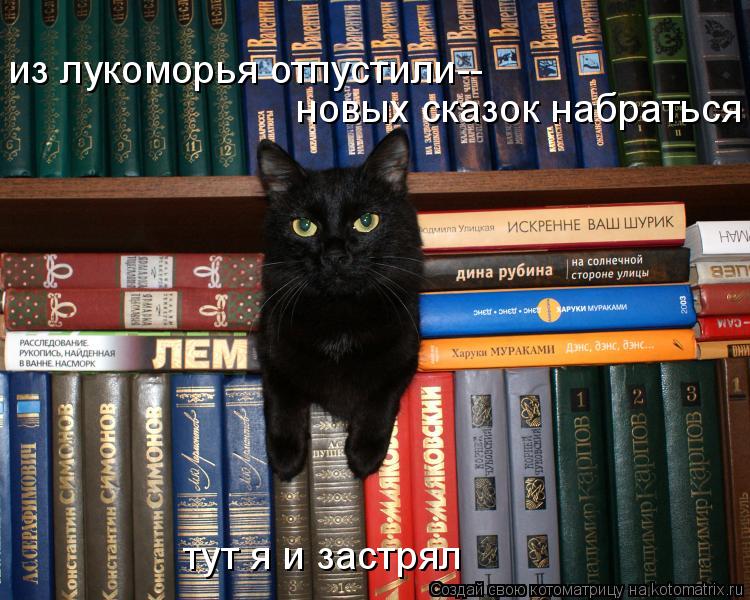 Котоматрица: из лукоморья отпустили-- новых сказок набраться тут я и застрял