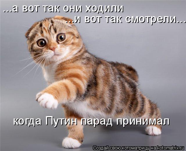 ...а вот так они ходили ...и вот так смотрели... когда Путин парад принимал... Котоматрица: ...а вот так они ходили ...и вот так смотрели... когда Путин парад принимал