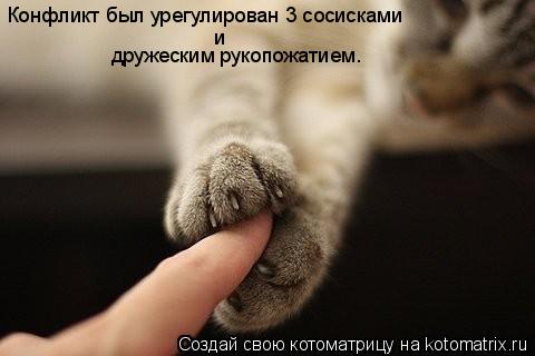 Котоматрица: Конфликт был урегулирован 3 сосисками и дружеским рукопожатием.