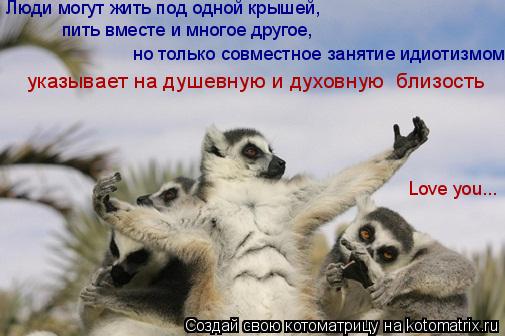 Котоматрица: указывает на душевную и духовную  близость Люди могут жить под одной крышей, но только совместное занятие идиотизмом пить вместе и многое д