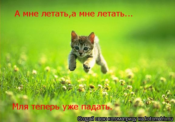 Котоматрица: А мне летать,а мне летать... Мля теперь уже падать.