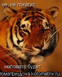 Котоматрица: не, не покатит... маловато будет...