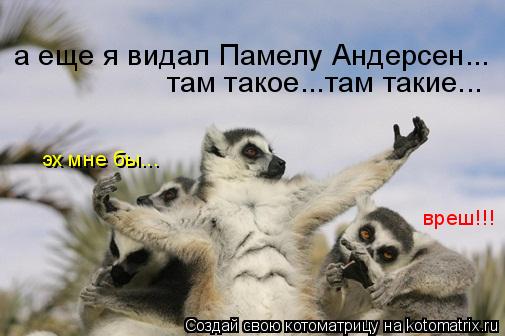 Котоматрица: а еще я видал Памелу Андерсен... там такое...там такие... вреш!!! эх мне бы...