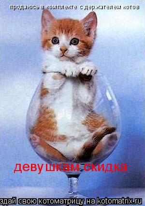 Котоматрица: продаюсь в комплекте с держателем котов девушкам скидка