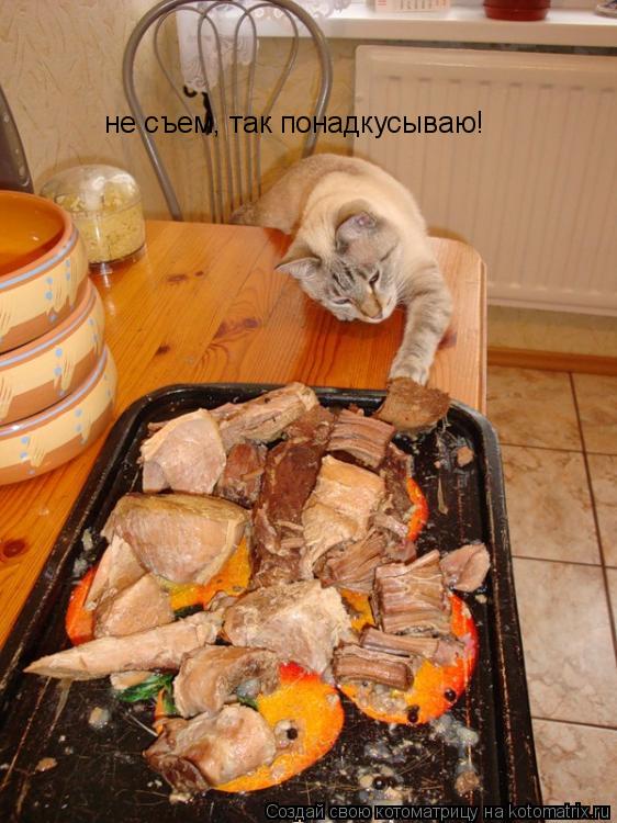 Котоматрица: не съем, так понадкусываю!