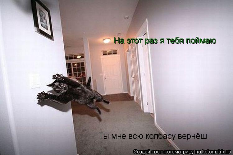 Котоматрица: На этот раз я тебя поймаю Ты мне всю колбасу вернёш