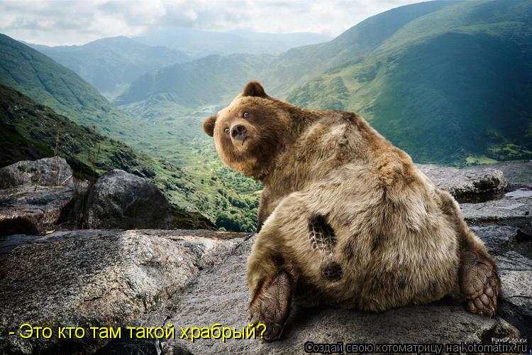 Котоматрица: - Это кто там такой храбрый?