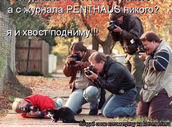 Котоматрица: а с журнала PENTHAUS никого? а с журнала PENTHAUS никого? я и хвост подниму!!!