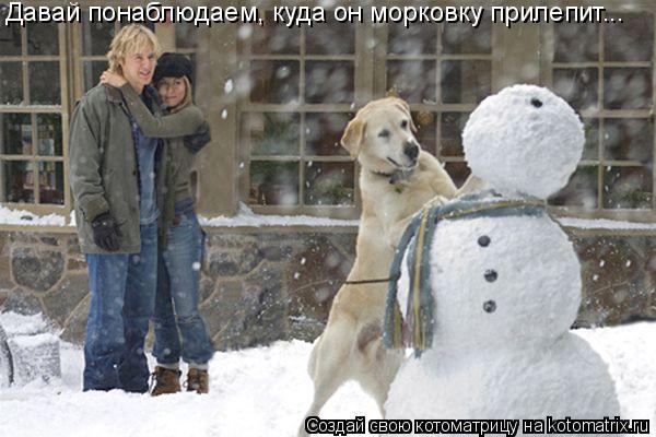 Котоматрица: Давай понаблюдаем, куда он морковку прилепит...
