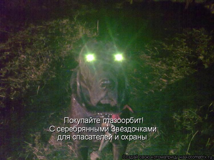 Котоматрица: Покупайте глазоорбит! С серебрянными Звёздочками для спасателей и охраны