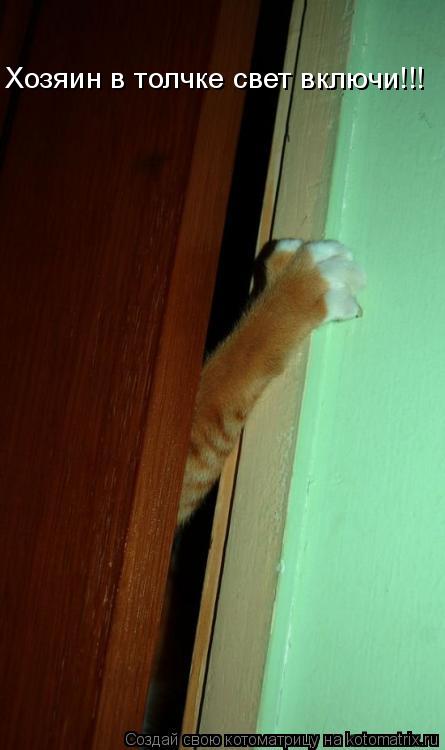Котоматрица: Хозяин в толчке свет включи!!!