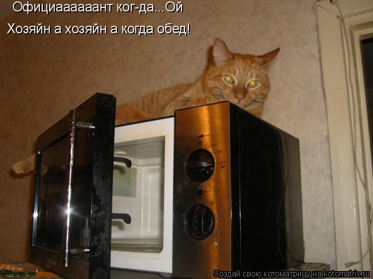 Котоматрица: Официаааааант ког-да...Ой Хозяйн а хозяйн а когда обед!