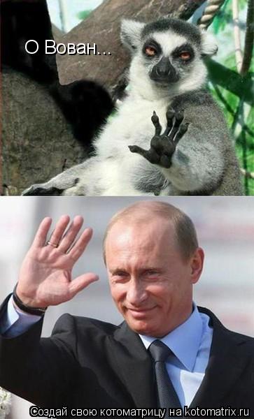 Котоматрица: О Вован...