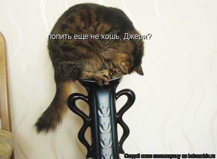 Котоматрица: попить еще не хошь, Джери?