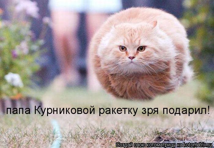 Котоматрица: папа Курниковой ракетку зря подарил!