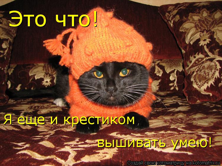Котоматрица: Это что! Я еще и крестиком вышивать умею!