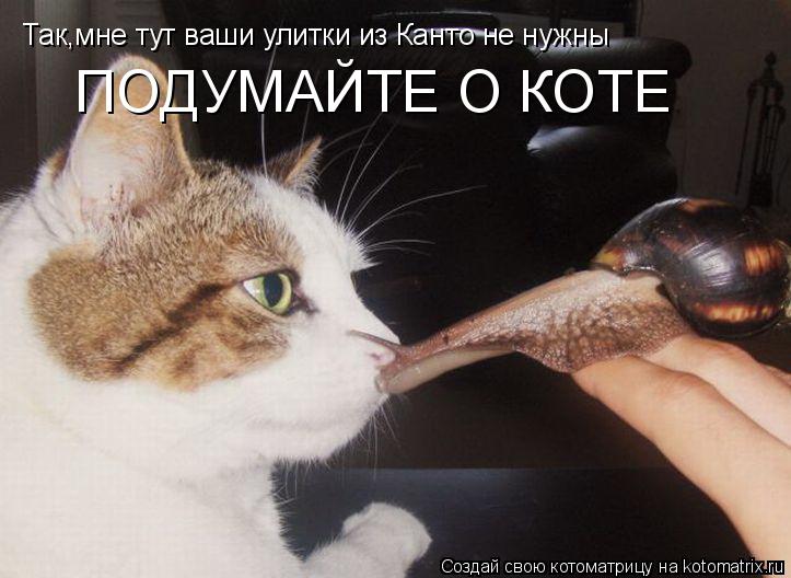 Так,мне тут ваши улитки из Канто не нужны ПОДУМАЙТЕ О КОТЕ... Котоматрица: Так,мне тут ваши улитки из Канто не нужны ПОДУМАЙТЕ О КОТЕ