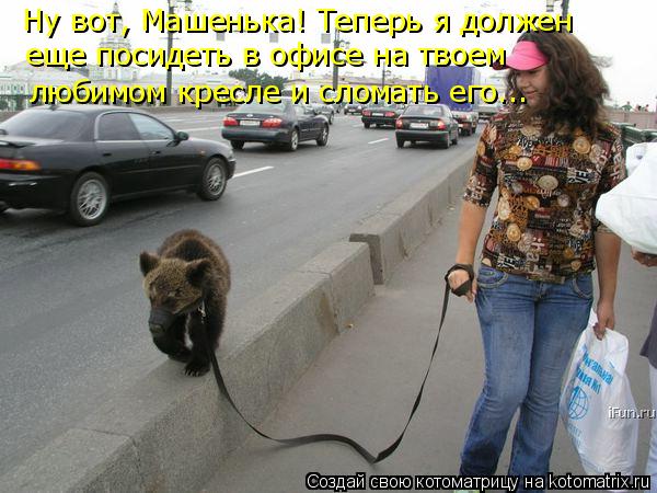 Ну вот, Машенька! Теперь я должен еще посидеть в офисе на твоем любимом кресле и сломать его...... Котоматрица: Ну вот, Машенька! Теперь я должен еще посидеть в офисе на твоем любимом кресле и сломать его...