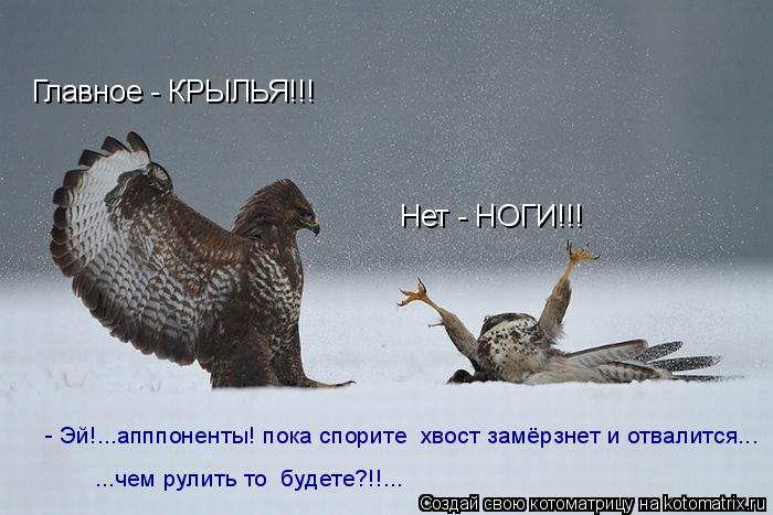 Главное - КРЫЛЬЯ!!! Нет - НОГИ!!! - Эй!...апппоненты! пока спорите хвост замёрзнет и отвалится... ..... Котоматрица: Главное - КРЫЛЬЯ!!! Нет - НОГИ!!! - Эй!...апппоненты! пока спорите хвост замёрзнет и отвалится... ...чем рулить то будете?!!...