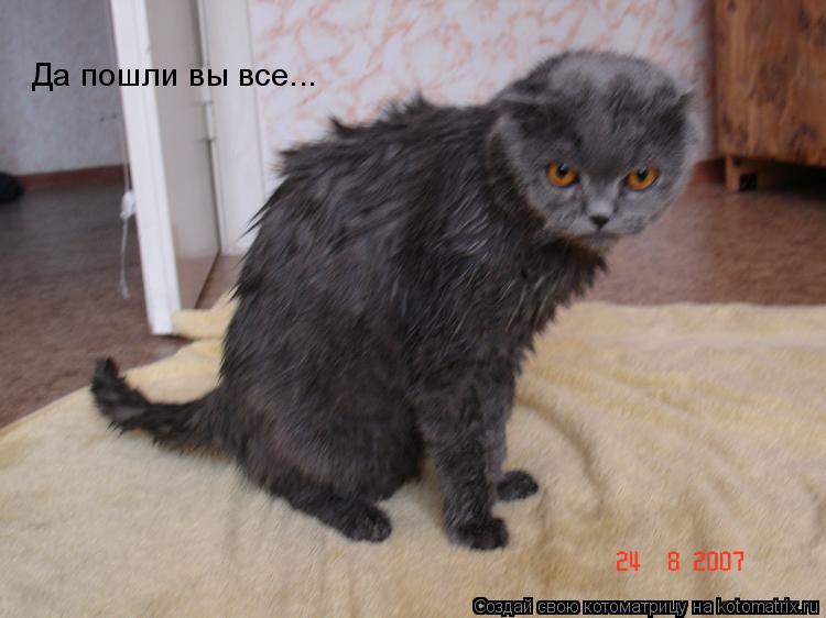 Да пошли вы все...... Котоматрица: Да пошли вы все...