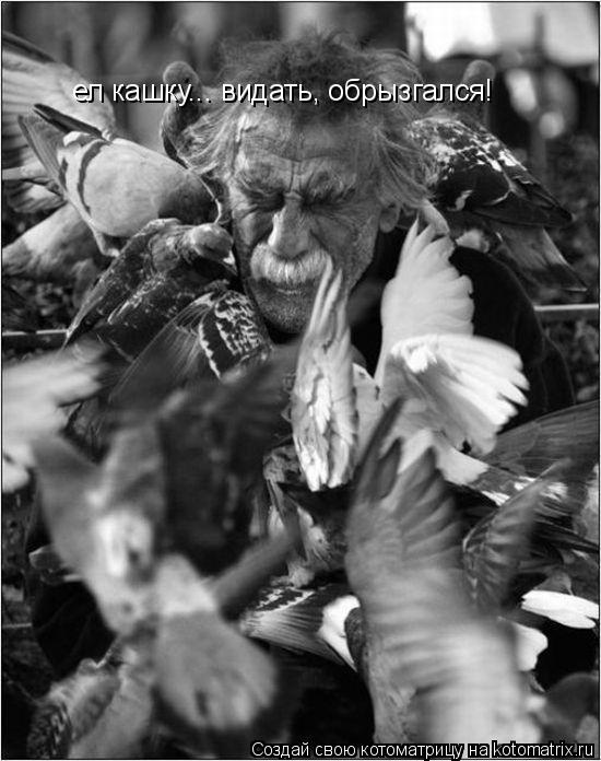 ел кашку... видать, обрызгался!... Котоматрица: ел кашку... видать, обрызгался!