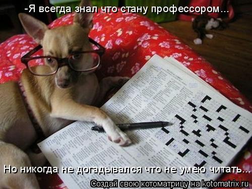 -Я всегда знал что стану профессором... Но никогда не догадывался что не умею читать....... Котоматрица: -Я всегда знал что стану профессором... Но никогда не догадывался что не умею читать....