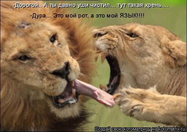 -Дорогой.. А ты давно уши чистил... тут такая хрень.... -Дура... Это мой рот, а это мой ЯЗЫК!!!!... Котоматрица: -Дорогой.. А ты давно уши чистил... тут такая хрень.... -Дура... Это мой рот, а это мой ЯЗЫК!!!!
