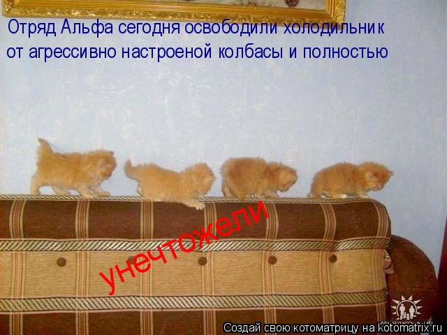 Котоматрица: Отряд Альфа сегодня освободили холодильник от агрессивно настроеной колбасы и полностью  унечтожели ! унечтожели