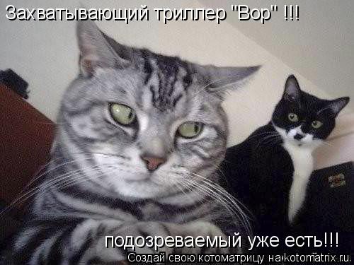 Котоматрица: Захватывающий триллер "Вор" !!! подозреваемый уже есть!!!
