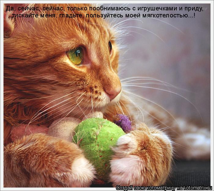Котоматрица: Да, сейчас, сейчас, только пообнимаюсь с игрушечками и приду, тискайте меня, гладьте, пользуйтесь моей мягкотелостью...!