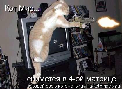 Котоматрица: Кот Мяо... ...снимется в 4-ой матрице