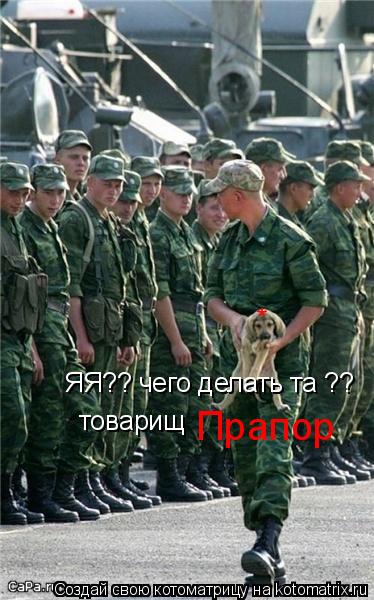 Котоматрица: ЯЯ?? чего делать та ?? товарищ Прапор *