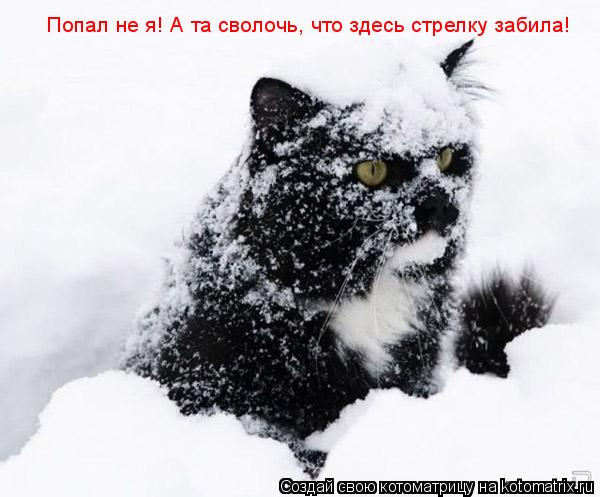 Котоматрица: Попал не я! А та сволочь, что здесь стрелку забила!
