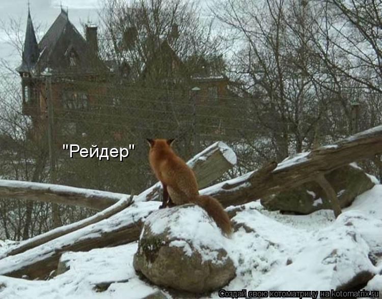 Котоматрица: "Рейдер"