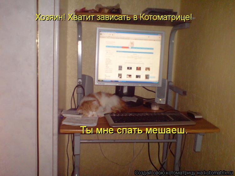 Хозяин! Хватит зависать в Котоматрице! Ты мне спать мешаеш. Хозяин! Хватит зависать в Котоматрице! Т... Котоматрица: Хозяин! Хватит зависать в Котоматрице! Ты мне спать мешаеш. Хозяин! Хватит зависать в Котоматрице! Ты мне спать мешаеш.