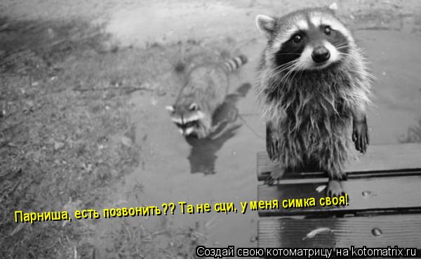 Парниша, есть позвонить?? Та не сци, у меня симка своя!... Котоматрица: Парниша, есть позвонить?? Та не сци, у меня симка своя!