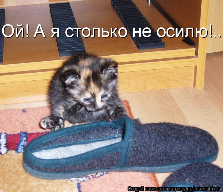 Ой! А я столько не осилю!....... Котоматрица: Ой! А я столько не осилю!....