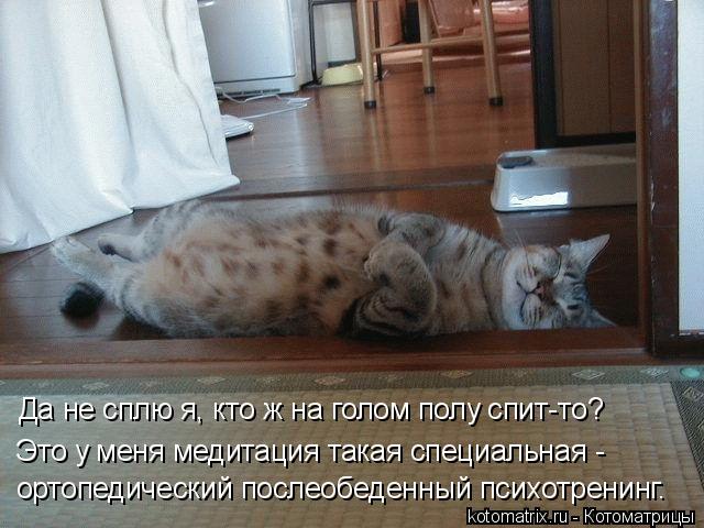 Котоматрица: Да не сплю я, кто ж на голом полу спит-то? Это у меня медитация такая специальная - ортопедический послеобеденный психотренинг.