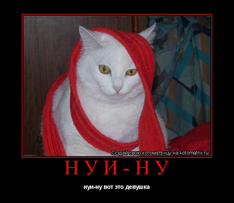 Котоматрица: нуи-ну нуи-ну вот это девушка