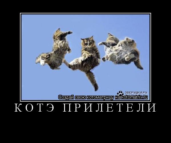 Котоматрица: Котэ прилетели 