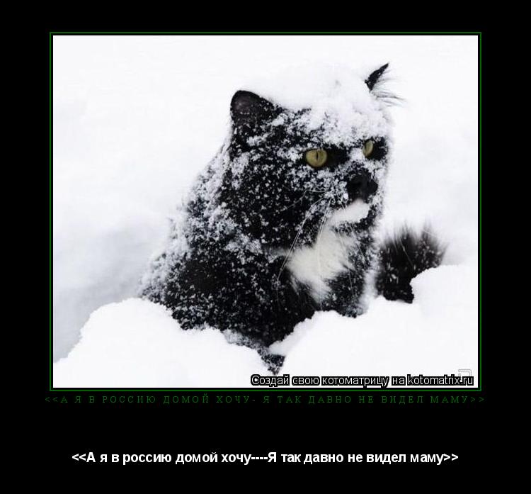 <<А я в россию домой хочу- Я так давно не видел маму>> <<А я в россию домой хочу----Я так давно не ви... Котоматрица: <<А я в россию домой хочу- Я так давно не видел маму>> <<А я в россию домой хочу----Я так давно не видел маму>>