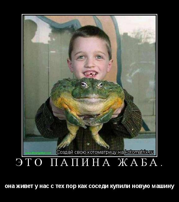 Котоматрица: Это папина жаба. она живет у нас с тех пор как соседи купили новую машину