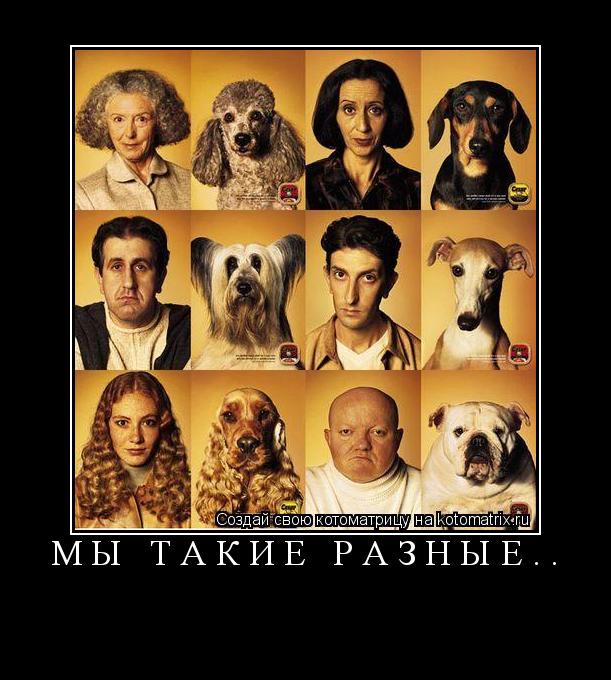 Котоматрица: Мы такие разные.. 